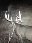 big buckkk.jpg