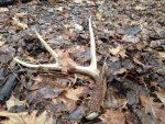 1-29-13ATLshedphoto.JPG