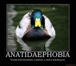 ImageUploadedByTapatalk1359768628.442449.jpg