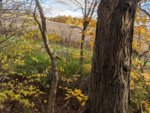 IMG_20201024_162049.jpg