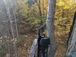 IMG_20201024_162037.jpg