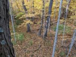 IMG_20201024_162026.jpg
