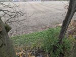 IMG_20201028_161045.jpg