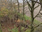 IMG_20201028_161040.jpg
