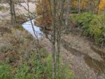IMG_20201028_161034.jpg