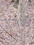 20201113_170403.jpg