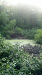 2012-07-22_06-50-24_151.jpg