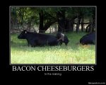 Bacon Cheeseburgers.jpg