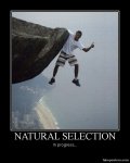 selection.jpg