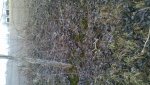 2013-02-28_12-24-29_545.jpg