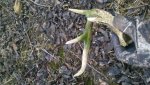 2013-02-28_12-24-44_178.jpg