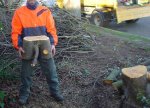 got_wood.jpg