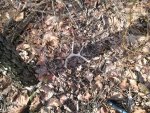 2013-03-059509.39.20.jpg
