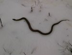 IMG-20130325-00688.jpg
