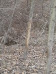 2013-03-30 17.57.53.jpg