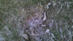 2013-04-10_12-13-20_408.jpg