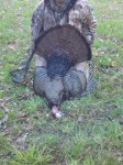 claytons turkey 4-22-13.jpg