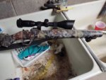 muzzleloader.jpg