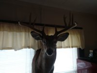 IMG_20210124_141553619.jpg