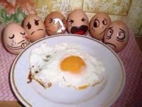 Egg Funeral.jpg
