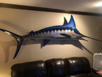 Striped Marlin 2018.jpg