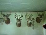 IMG_20130528_164151.jpg
