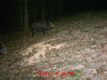 MDGC0082 (2).jpg
