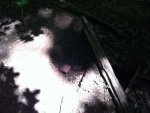 ImageUploadedByTapatalk1370223190.318273.jpg