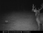 Big 18point.JPG