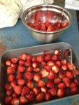 Strawberries.jpg