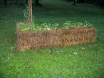 straw-bale-garden.jpg