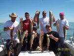 fish3.jpg