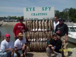 fish4.jpg