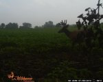 BANNINGRD13 972.jpg