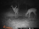 joshshouse13 3239.jpg