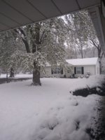 IMG_20210421_082246.jpg