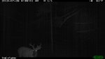 IMG_1170.jpg