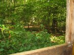 Img_1092.jpg