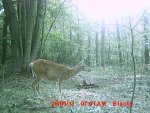 MDGC0189.JPG