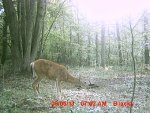 MDGC0190.JPG
