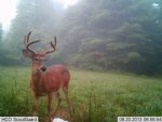 ImageUploadedByTapatalk1377105067.906327.jpg