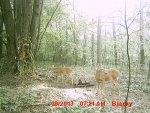 MDGC0011.JPG
