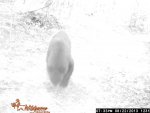 DK DEER and BEAR 2013 season120.jpg