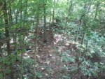 treestand3.JPG