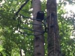 treestand4.JPG