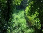 treestand6.JPG