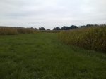 0915131235_zps7cf607fc.jpg