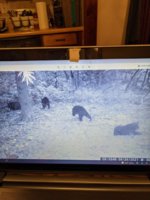 PXL_20210926_224420080.jpg