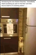 FB_IMG_1635346956001.jpg