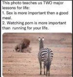 FB_IMG_1641956839855.jpg